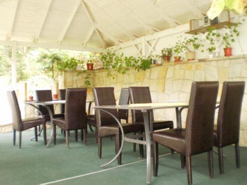 Pension Casa Alba Slănic-Moldova Εξωτερικό φωτογραφία