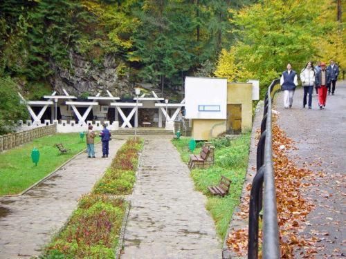 Pension Casa Alba Slănic-Moldova Εξωτερικό φωτογραφία